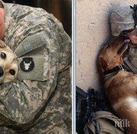 Няма думи на този свят, които да опишат емоциите от тази колекция снимки! Уникални и трогателни до болка!