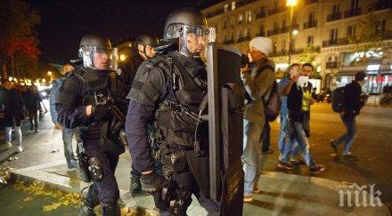 терористичните атентати париж алтернатива германия превърна третата сила политическа партия