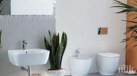 световен ден тоалетната