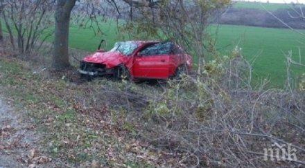 шофьор без книжка нацели дърво борят живота