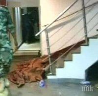 Седем алжирци са били освободени от хотела в Мали