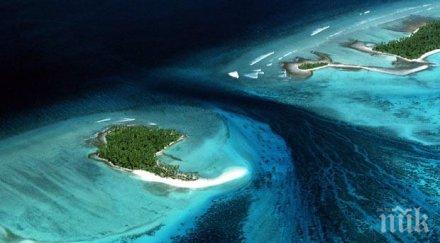 внимание учени предупреждават очакват нов вид мигранти климатични бежанци