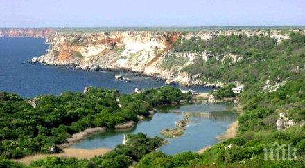 каварна домакин дни руската култура