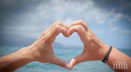 влюбват различните зодии