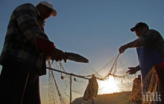 Над 4.3 млн. лева са преведени за инвестиции в сектор Рибарство