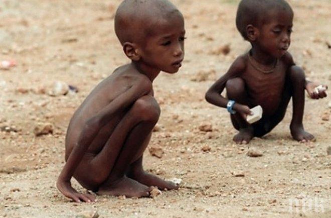 Почетният консул на Мали: Атентатът ще влоши ситуацията в африканската страна