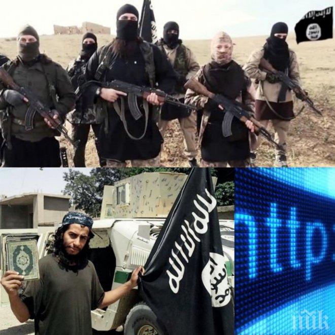 Организаторът на парижките атентати вербувал испанки, които да воюват за „Ислямска държава”