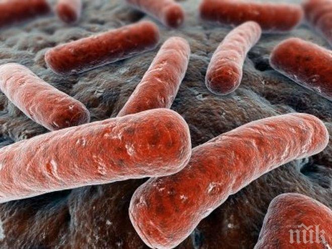 Супербактерия заплашва света с глобална епидемия 