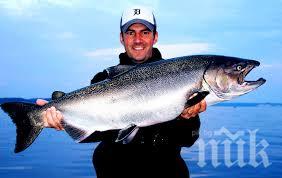 В САЩ ще хапват ГМО сьомга