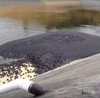 Капитан Станко Станков: Потенциално опасните язовири във Варненска област са проверени и се наблюдават