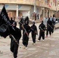 Британски власти: „Ислямска държава” удря фериботите през Ламанша