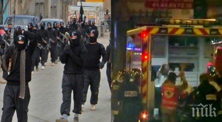 цената терора дадоха джихадистите ударите париж струват ответните мерки франция белгия