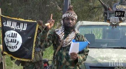 десет души загинали самоубийствен атентат камерун