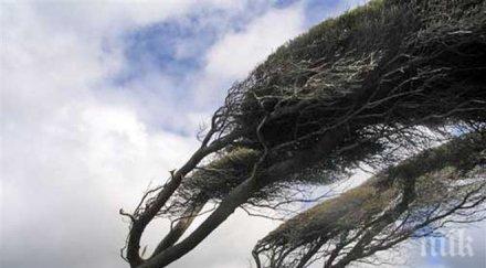 нимх облачно ветровито все топло