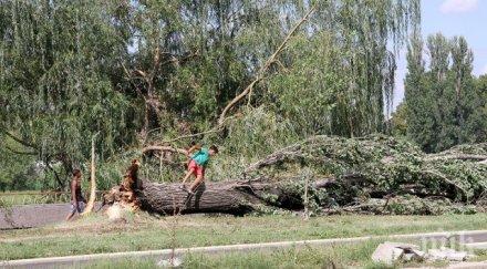 ексклузивно пик мощен вятър поразява наред ранена жена зимата идва страшна сила