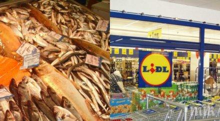 пик клиенти изригнаха лидл пъстървата вони ужасно цялата лепне приличате мизерно квартално магазинче