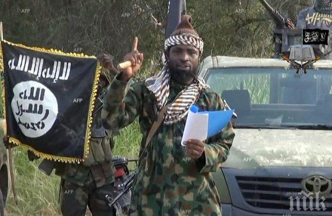 Най-малко десет души са загинали при самоубийствен атентат в Камерун