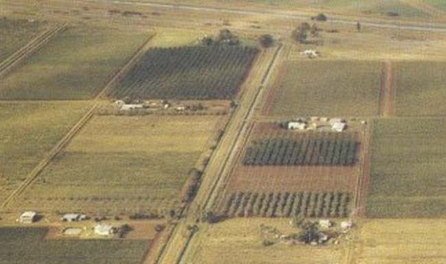 За 10 години земята поскъпнала над три пъти