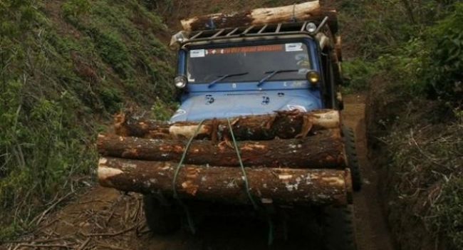 Камион пилее дърва по пътя