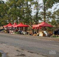 Край на сергиите с домати край пътя
