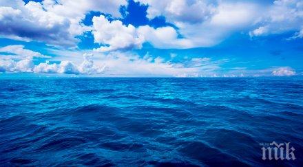 създадоха робот движи вода ползвайки органична материя