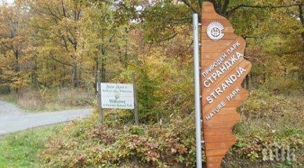 петметрови тотеми посрещат гостите странджа