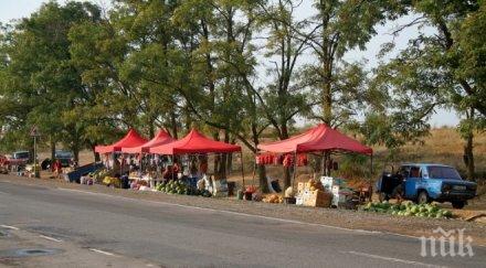 сергиите домати пътя