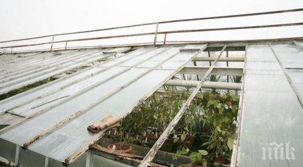 пик ботаническата градина нужда сериозна реконструкция ураганния вятър