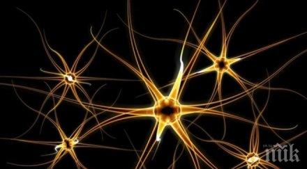 броят клетките мозъка детето зависи начина раждане