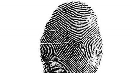 нова техника разпознава пола пръстов отпечатък