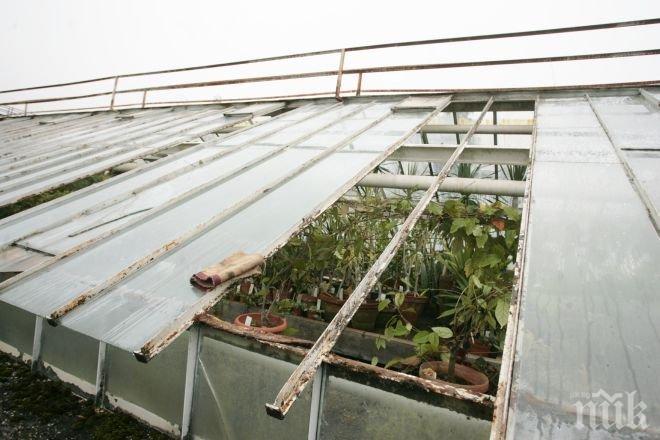 ПИК TV: Ботаническата градина има нужда от сериозна реконструкция след ураганния вятър