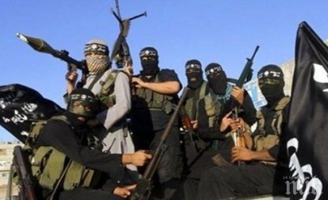 Джихадист ликува: Атаките в Париж разплакаха милиони, но доставиха радост на правоверните