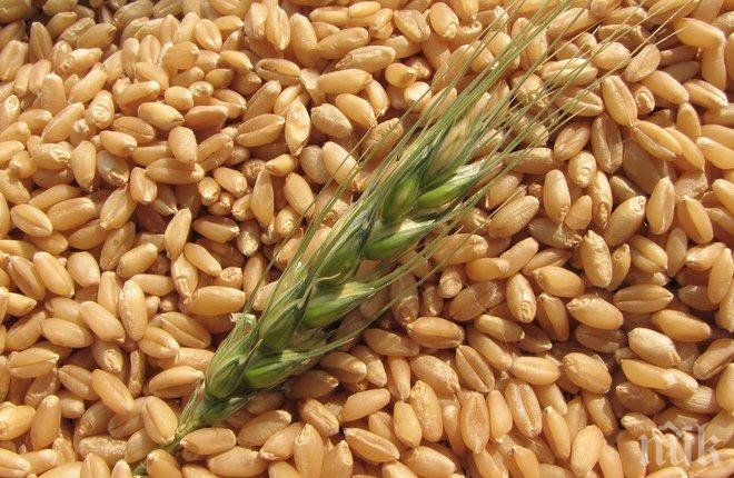 Опасно! Фалшив лимец заплашва здравето ни