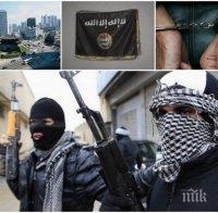 Германия може да участва с бойни самолети 