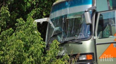 два автобуса сблъскаха македония пострадали