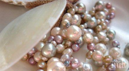 пловдивските данъчни продават търг естествени перли