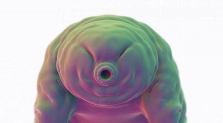 бавноходката единственото животно оцелее космоса необичайна днк