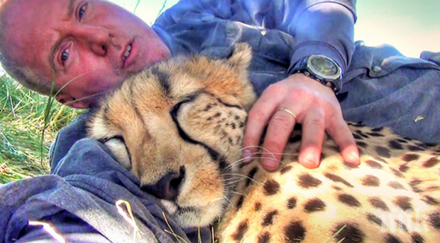 мъжът просто легнал една кратка дрямка поляната събудил гепард направил нещо напълно неочаквано