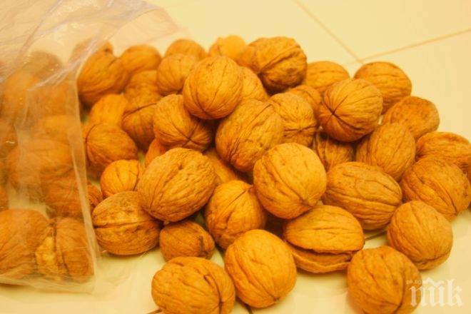 Откраднаха 1 тон орехи от къща в Риш