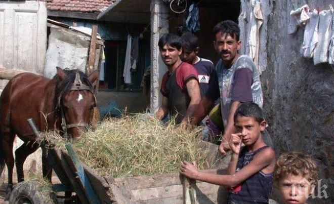 Роми в Пловдив дължат милиони на общината