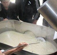 Млечните продукти, произведени в района на родопското село, където откриха бруцелоза, ще бъдат унищожени