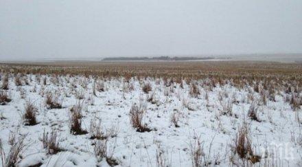 виждаш снимка