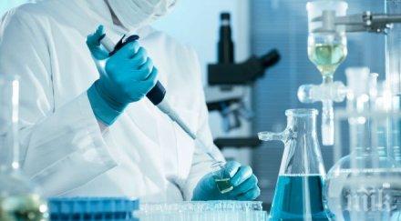 две огнища бруцелоза констатирани областите благоевград плевен