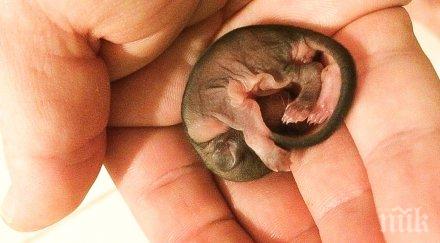 човекът решил спаси новородено знаеше животинче