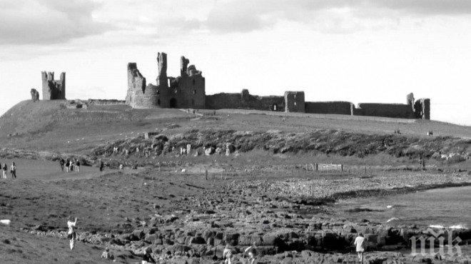 Цветна ли е тази снимка или черно-бяла? Отговорът е по-труден отколкото предполагаш!