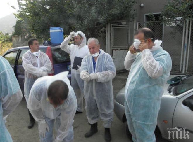 Заразата с бруцелоза е тръгнала от закупено животно