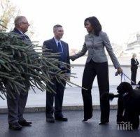 Мишел Обама с 6-метрова коледна елха 