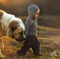 Домашните животни защитават децата от тревожни разстройства