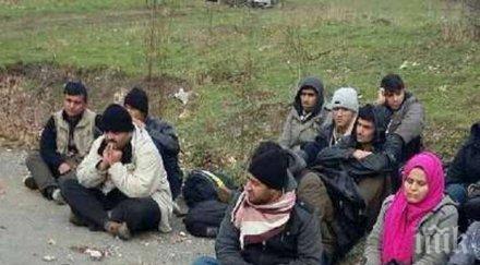 ловци хванаха каналджии афганистан странджа