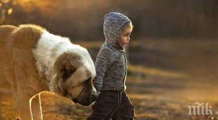 домашните животни защитават децата тревожни разстройства